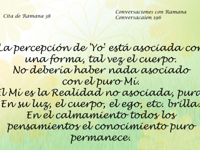 Cita de Ramana 38