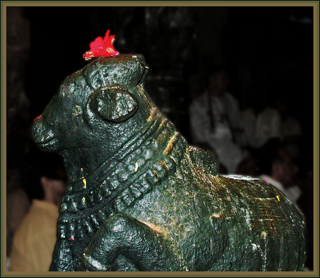 Sri Nandi with Flower of Devotion