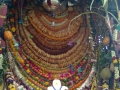 Sri Nandi decorated with devotion