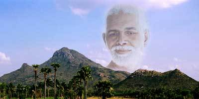 Arunachala Hill 20