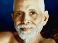 Bhagavan Sri Ramana Maharshi 41