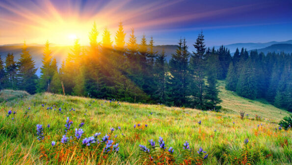 Sunrise in the Spring