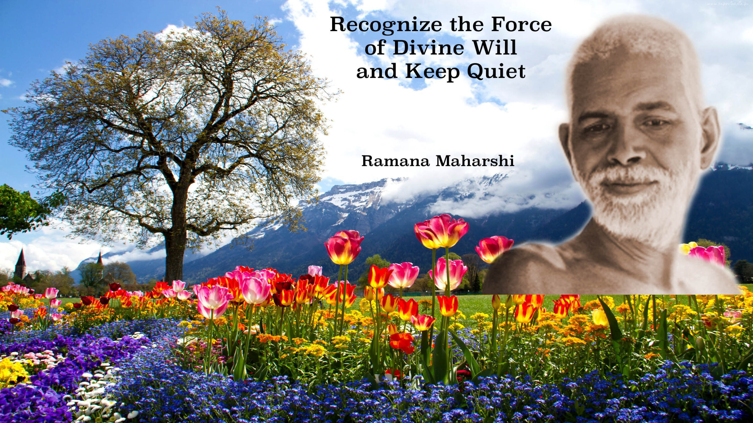 Recognize the force of divine will and keep quiet