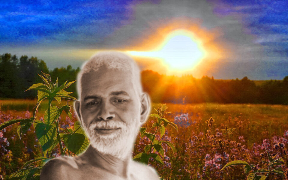 Sri Ramana Gita
