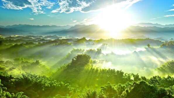 Talks with Ramana Maharshi (44 - 46)