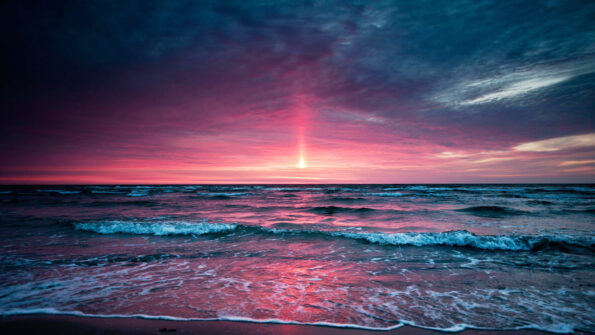 Talks with Ramana Maharshi (47 - 50)