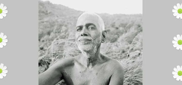 Ramana Maharshi Videos Devotees Speak
