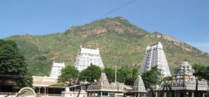 What a Unique Vista, Home Slider