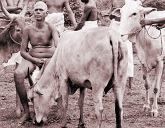 Ramana Lakshmi 10