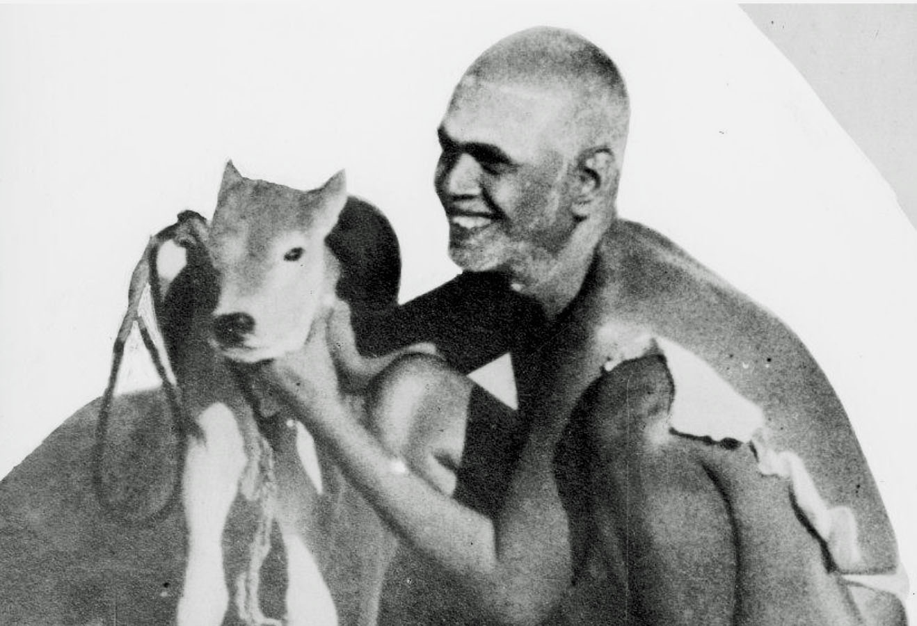 Ramana with deer