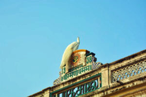 Ramanasramam white peacock