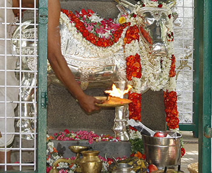 Sri Lakshmi 3 crop