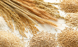 Talk 22c. Good quality diet grains