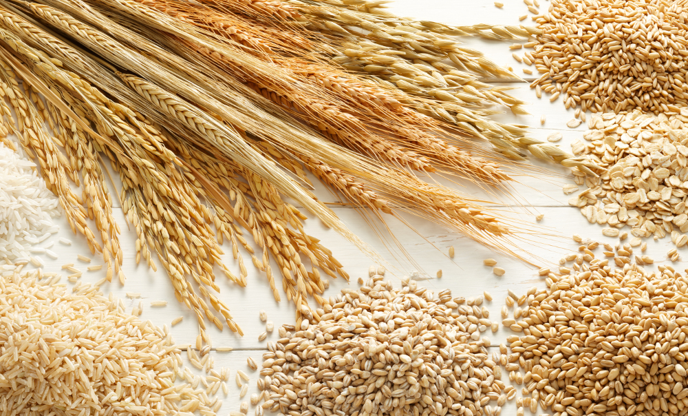 Talk 22. Good quality diet grains
