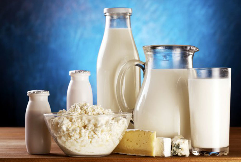 Talk 22. Good quality diet dairy