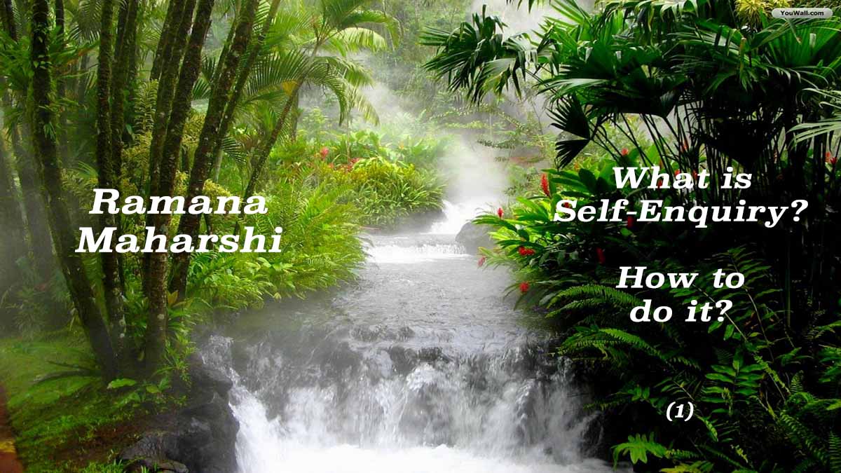 What is Self-Enquiry (1)