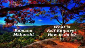 What is Self-Enquiry? (3)