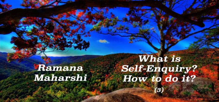 What is Self-Enquiry? How to do it? (3) What is Self-Enquiry? (3)