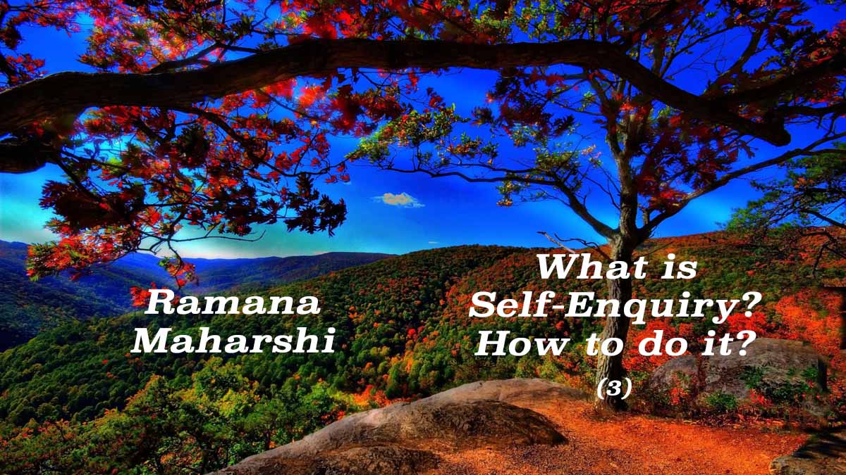 What is Self-Enquiry? (3)