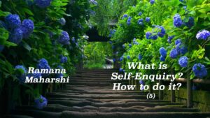 What is Self-Enquiry? (5)