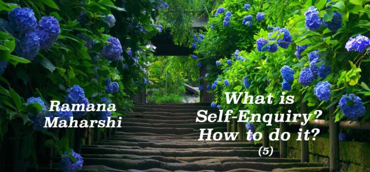 What is Self-Enquiry? (5)