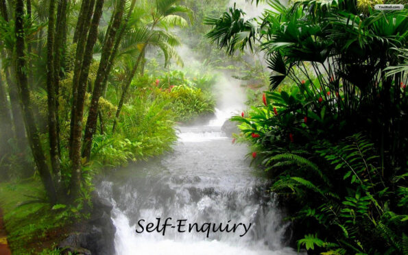 What is Self Enquiry? How to do it?