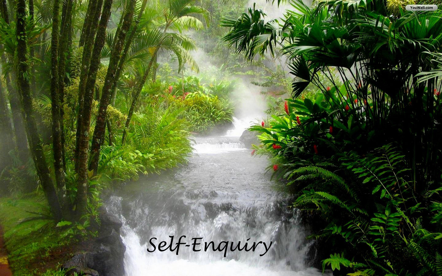 What is Self Enquiry? How to do it?