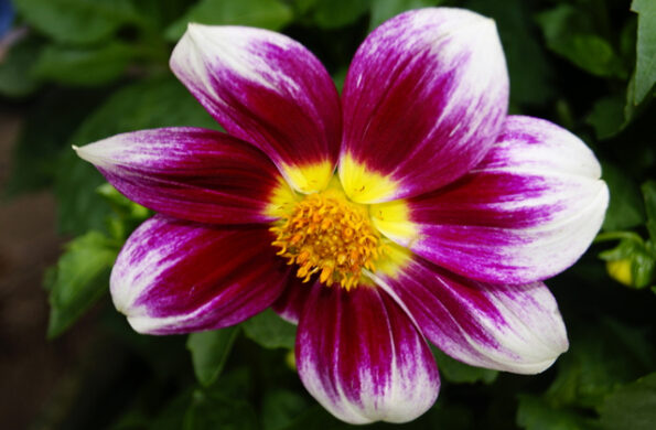 Can you ever remain apart from the Self?