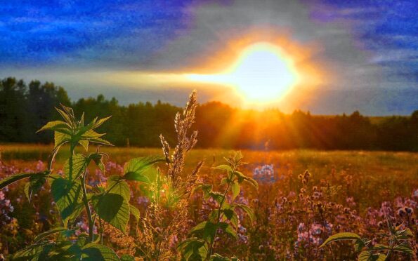 Ramana Gita - Chapters