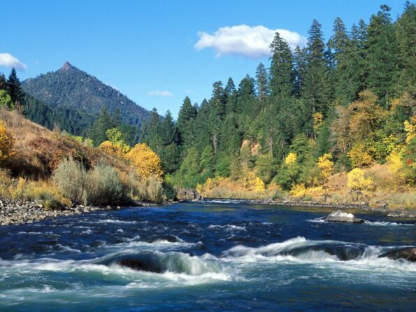 Paul Brunton's Regard for Sri Ramana Maharshi