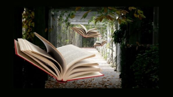 Who Am I? (23) Reading books any use