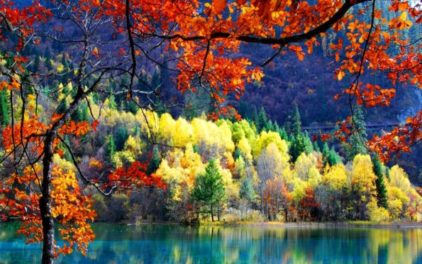 Swami Chinmayananda's Blissful Experience