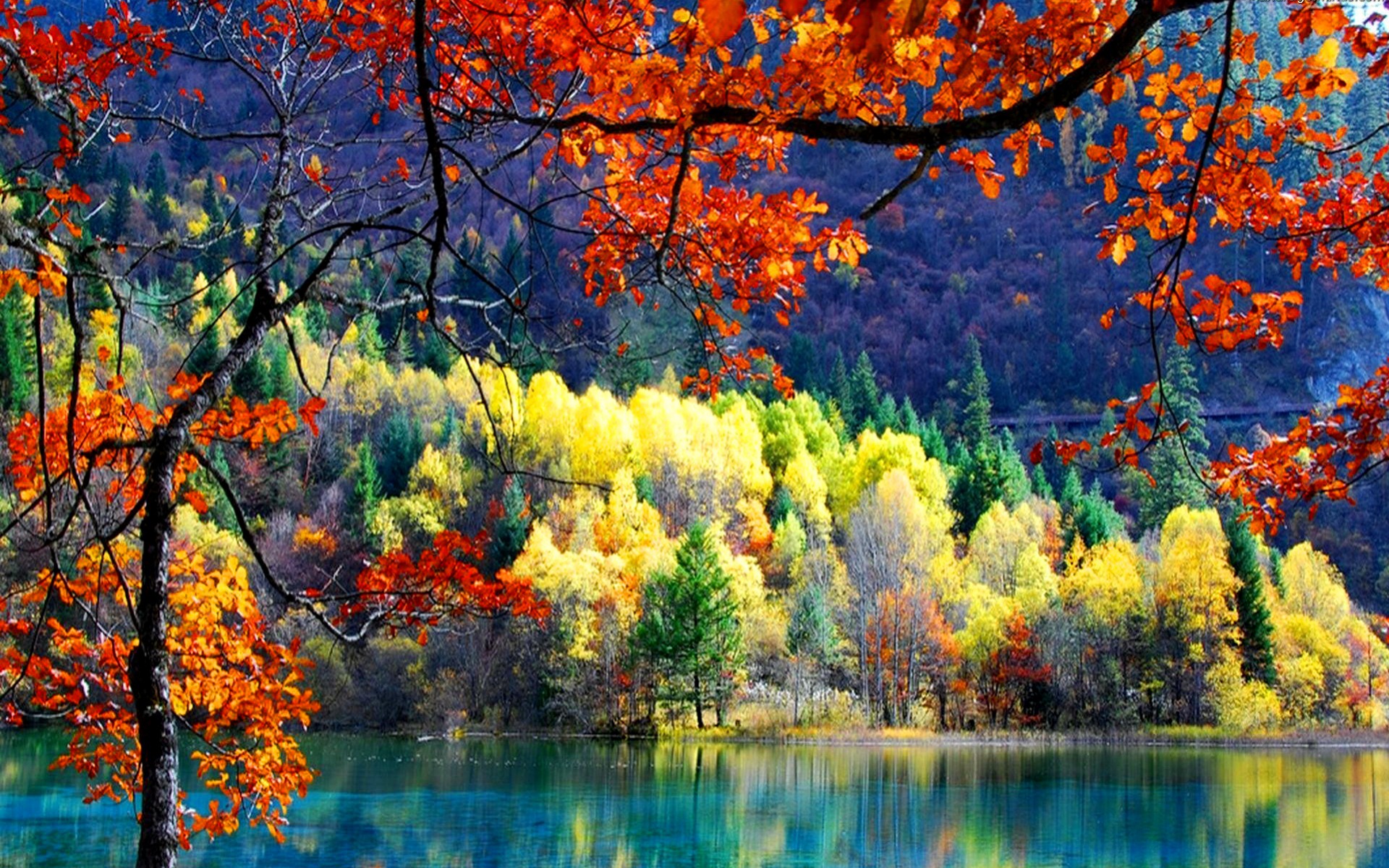 Swami Chinmayananda's Blissful Experience