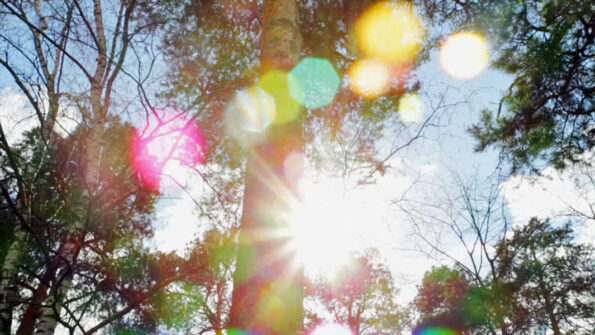 Talks with Ramana Maharshi (14 - 15)