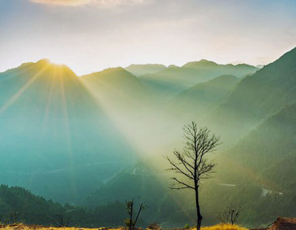 Talks with Ramana Maharshi (28 C)