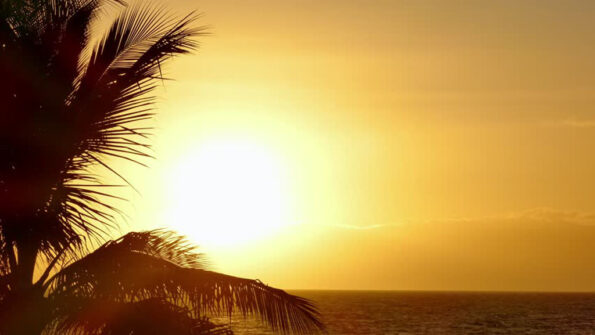 Talks with Ramana Maharshi (28 D)