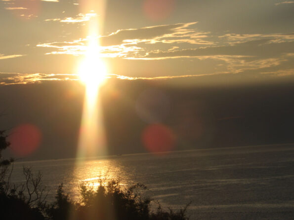 Talks with Ramana Maharshi (29)