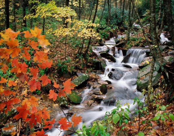 What is required is Self-Enquiry