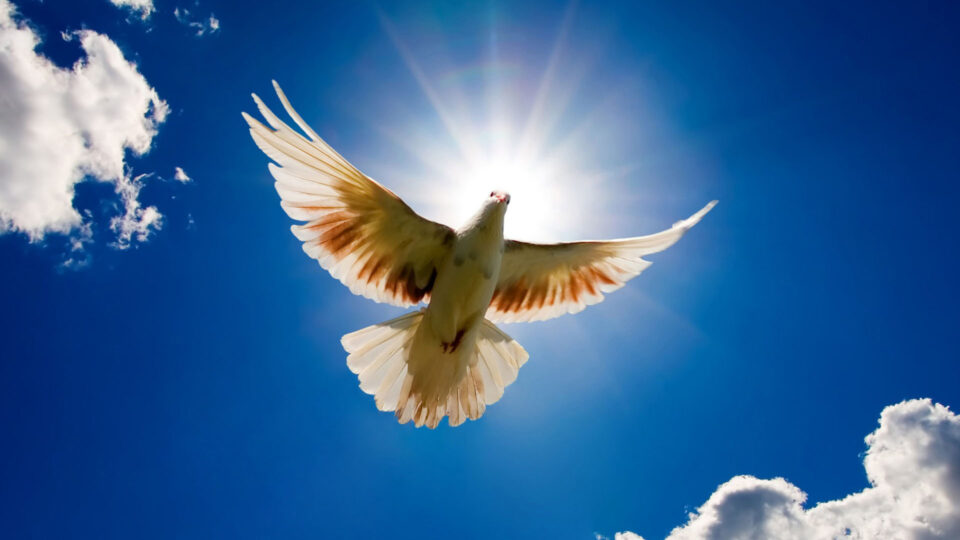 What is family bondage? How to get release from it?