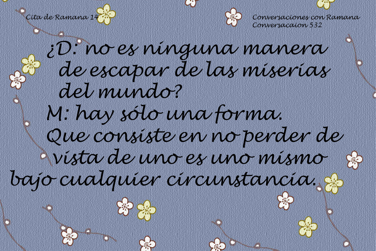 Cita de Ramana 14