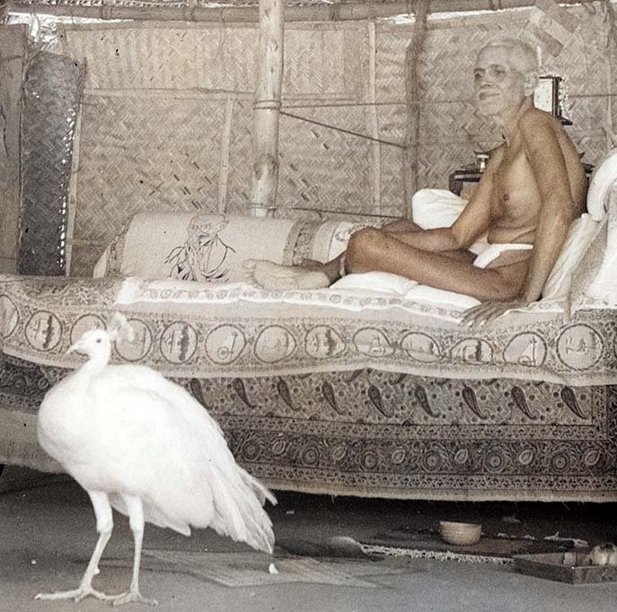Ramana-74-C