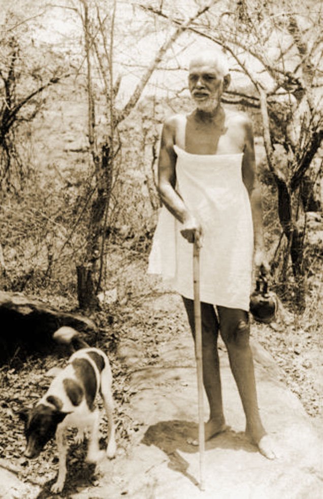 Ramana-with-dog-colorized