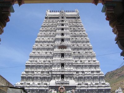 Beautiful Tower