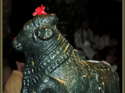 Sri Nandi with Flower of Devotion