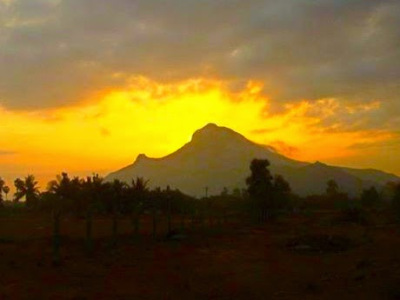 Arunachala Golden