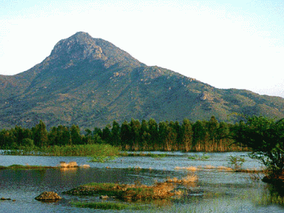 Arunachala Hill 05
