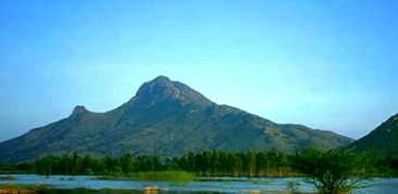 Arunachala Hill 08