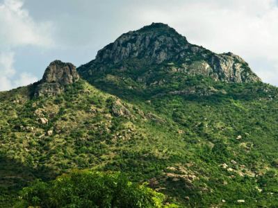 Arunachala Hill 15