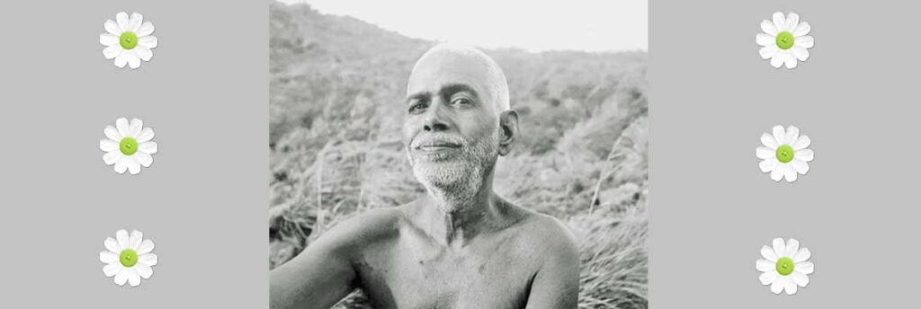 Devotees Speak