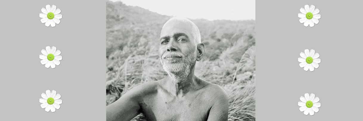 Devotees Speak,